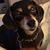 Lynette Lofing Tamsett's profile image