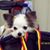 Dawn M Kerley-pollard's profile image