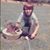 David Gully's profile image