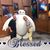 Paula Lee Milne's profile image