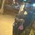 Jasmeen Williams's profile image