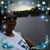 Carol Mitchell's profile image