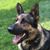 Randy Kring's profile image