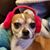 Beverly Douglas's profile image