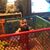 Brian J Neice Sr's profile image