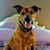 Jane Miller's profile image