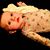 Brandi Mosser's profile image