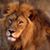 Karen Lee Woodall's profile image
