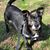 Joanne Donn's profile image