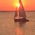 Sheryl Windham's profile image