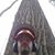 David Marrale's profile image