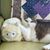 Claire Silberman's profile image