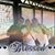 Tamara Torres's profile image