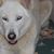 RoseMary M. Ortega's profile image
