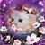 Avelar C Avelar's profile image