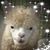 Ruth Hall's profile image