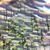 Alaster Wright's profile image