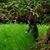 Tonya Rebecca Ferriera's profile image