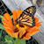 Jen Wier's profile image
