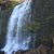 Laurie Knauer's profile image