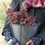 Becky Paul Steele's profile image