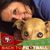 Cindy Salyer's profile image