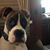Nick Dilley's profile image