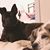 Beth Anderson Bettigole's profile image