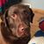 Penny Gerbracht's profile image