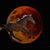 Robin Smith's profile image