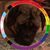 Debbie J Montague's profile image