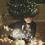 Mandy York Horner's profile image