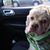Debbie Wells Page's profile image