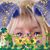 Marilynn Propst Jarrells's profile image