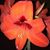 Venita Gail Kamphuis's profile image