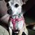 Michelle Boufford's profile image
