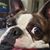 Andrea Dodson's profile image