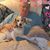 Kathy Cormier's profile image