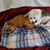 Tammy R H Spangler's profile image