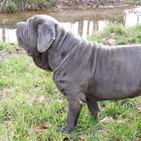 Arlene Lemoine's profile image