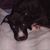 Mary A van Wyk's profile image
