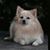 Robert Innis's profile image