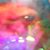 Angela Thompson Voorhees's profile image