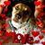 Dessi Perez's profile image