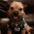 Pamela Buckles Tabert's profile image