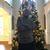 Tre Piner's profile image