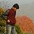 Himanshu Gupta's profile image