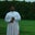 Aldrin Atanu's profile image
