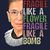 Stacey Snider Adams's profile image