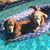 Becca Smith Hall's profile image